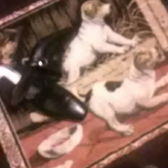 Shoes - Picture 3 of 5